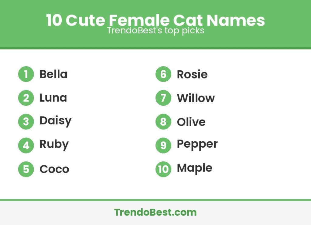 10 cute female cat names list graphic by TrendoBest