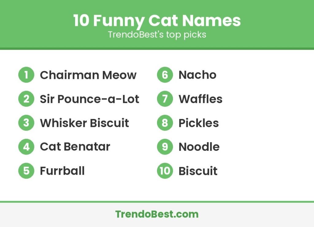 10 funny cat names list graphic by TrendoBest