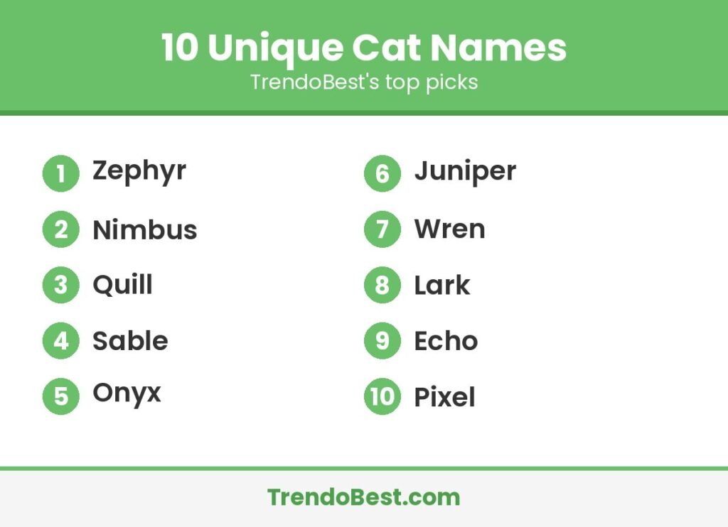 10 unique cat names list graphic by TrendoBest
