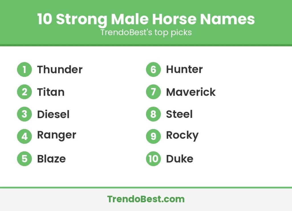 10 strong male horse names list graphic