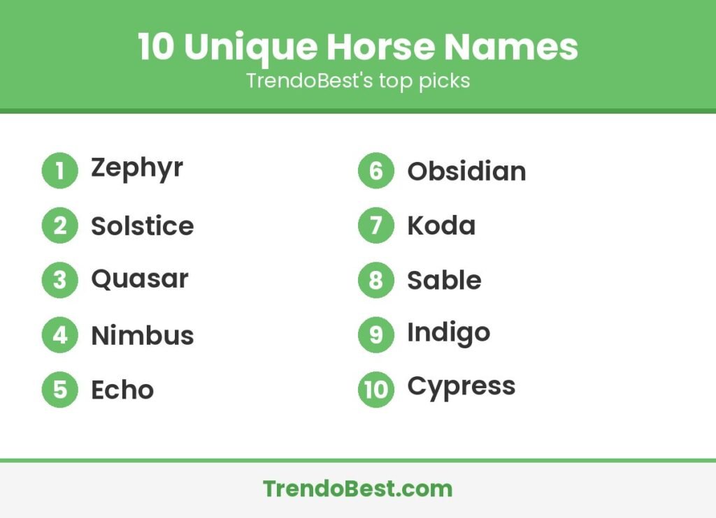 10 unique horse names list graphic
