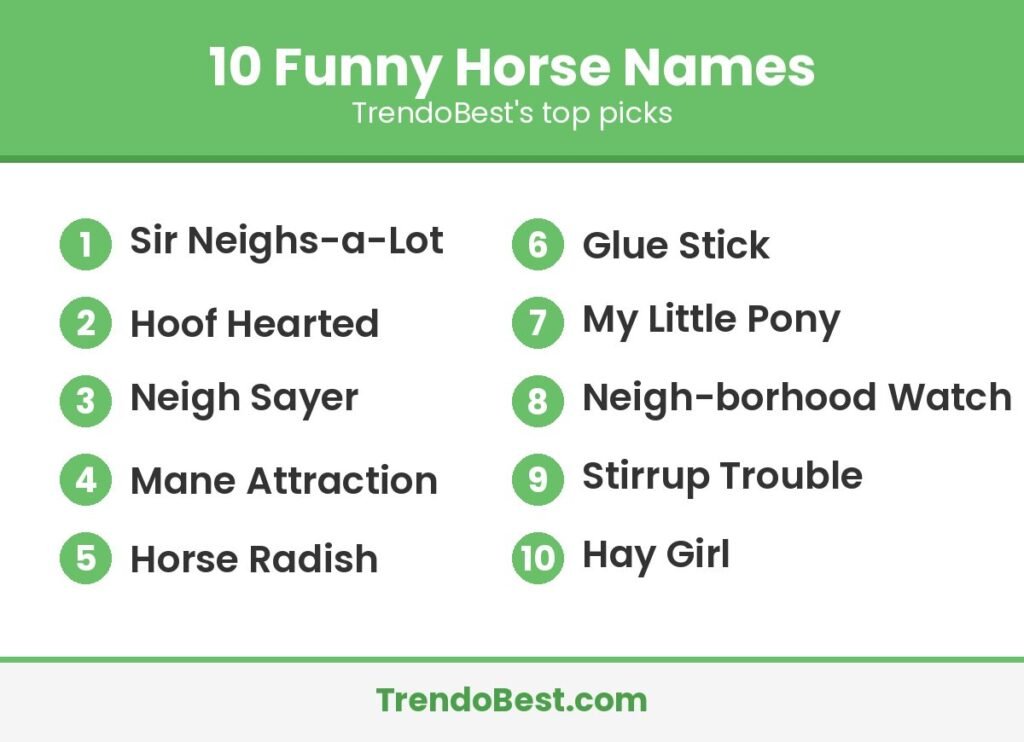 10 funny horse names list graphic