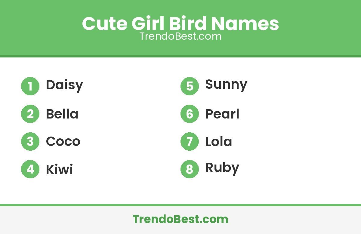 Cute girl bird names list: Daisy, Bella, Coco, Kiwi, Sunny, Pearl, Lola, Ruby