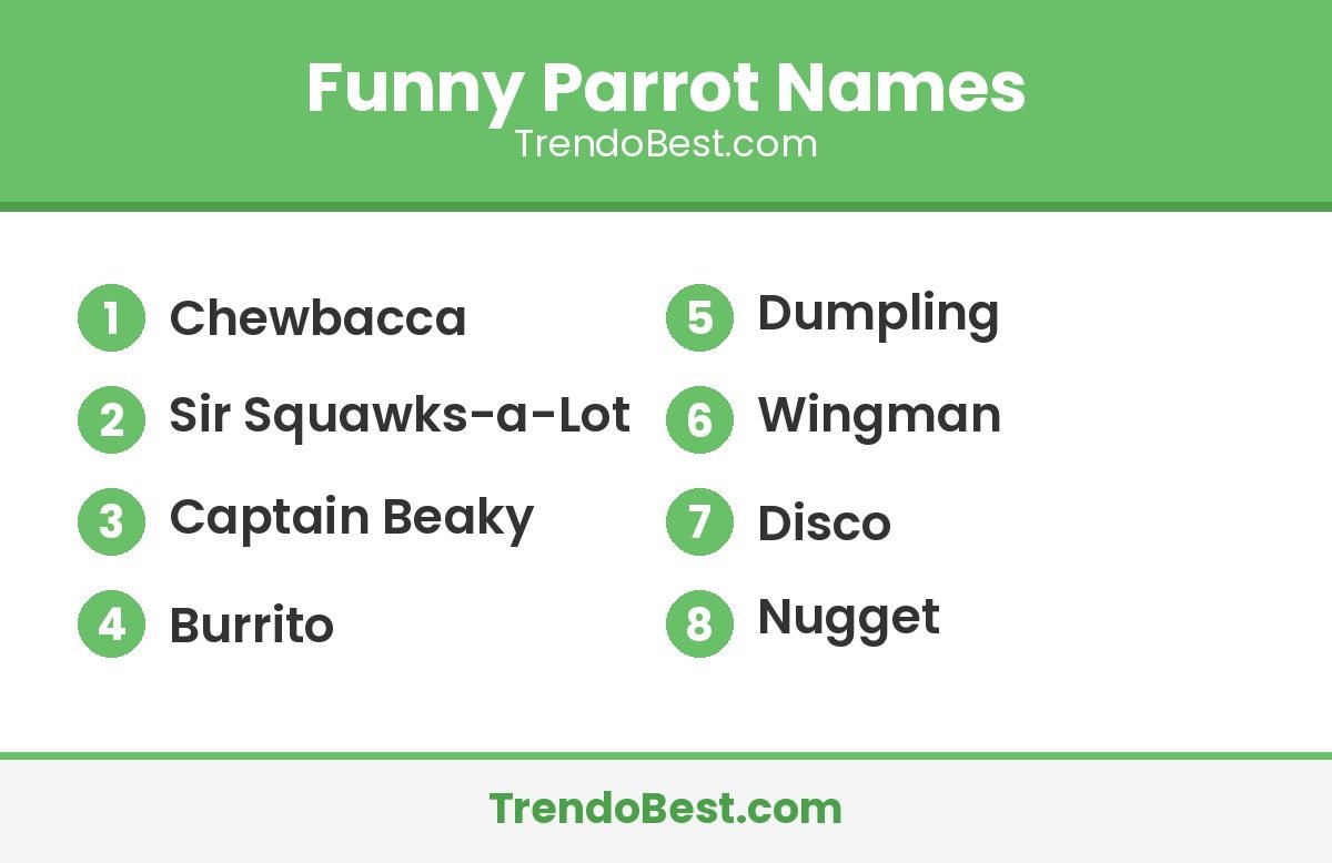 Funny parrot names list: Chewbacca, Sir Squawks-a-Lot, Captain Beaky, Burrito, Dumpling, Wingman, Disco, Nugget