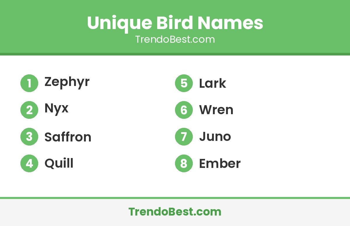 Unique bird names list: Zephyr, Nyx, Saffron, Quill, Lark, Wren, Juno, Ember