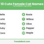 10 cute female cat names list graphic by TrendoBest