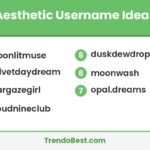 Aesthetic username ideas list on a TrendoBest branded card