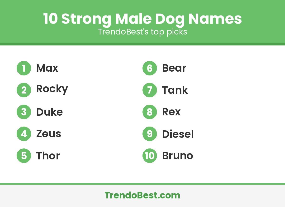 Graphic listing 10 strong male dog names including Max, Rocky and Zeus