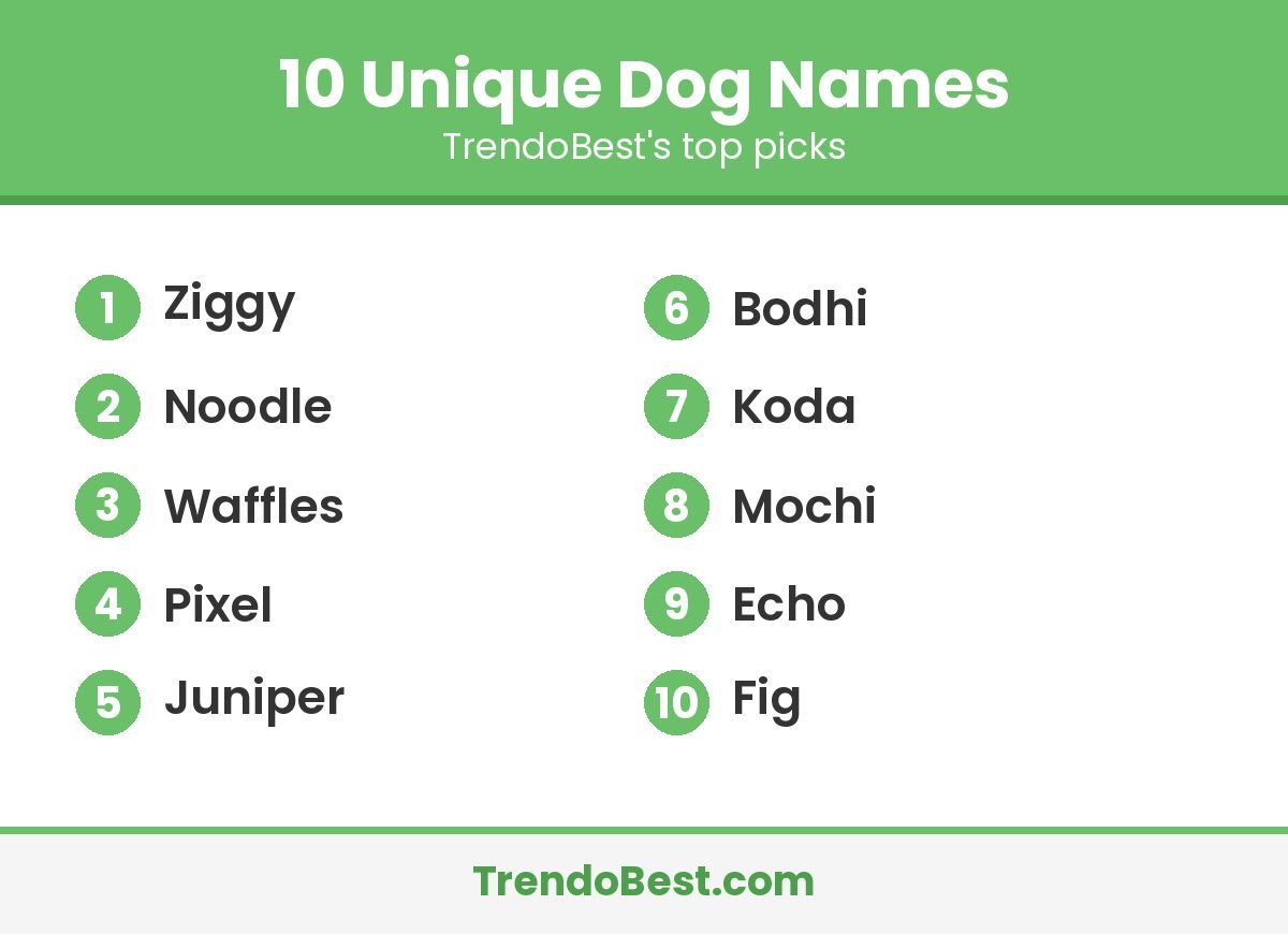 Graphic listing 10 unique dog names including Ziggy, Mochi and Pixel