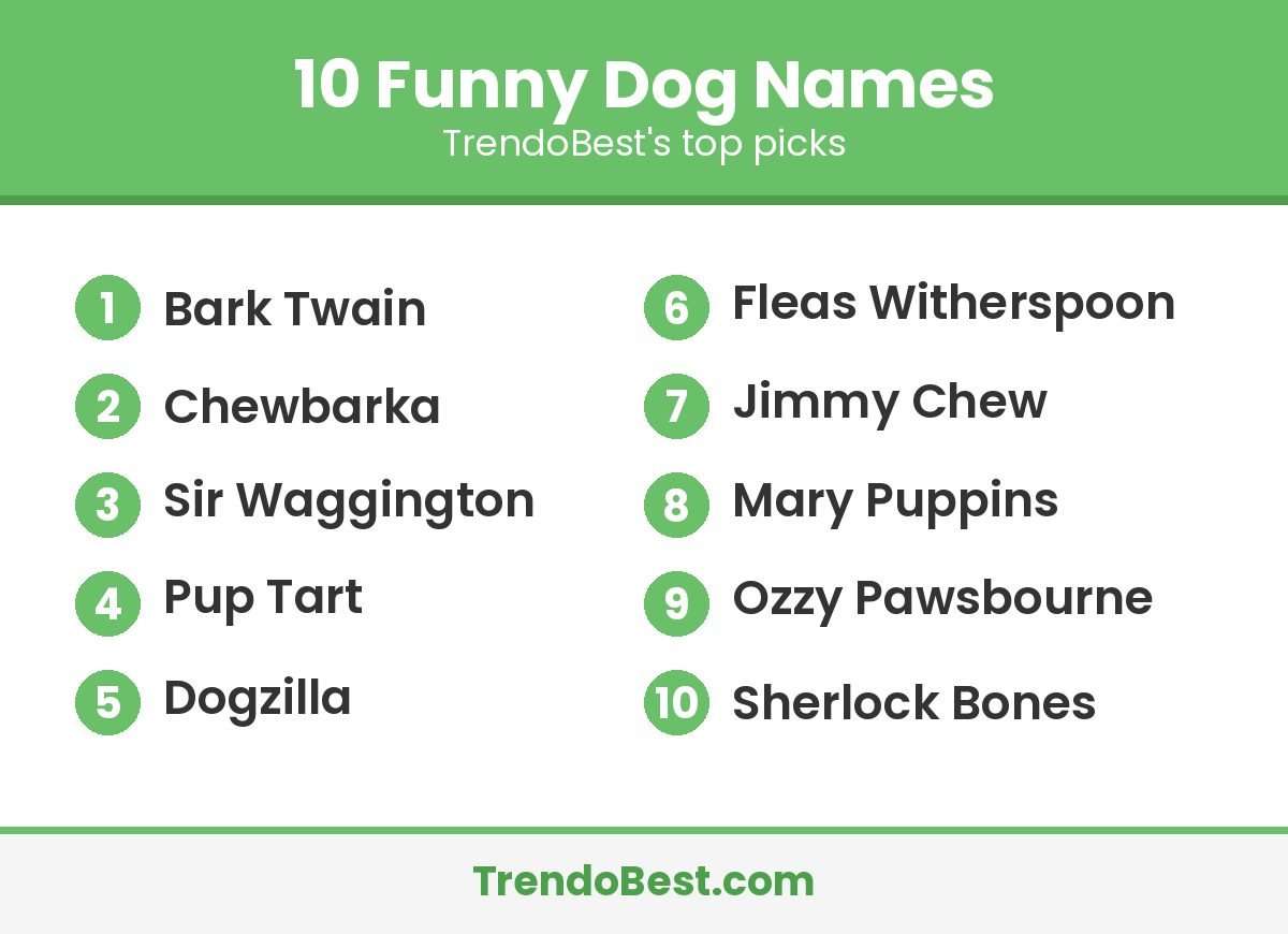 Graphic listing 10 funny dog names including Bark Twain, Chewbarka and Dogzilla