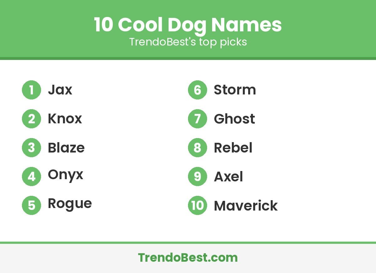 Graphic listing 10 cool dog names including Jax, Blaze and Onyx