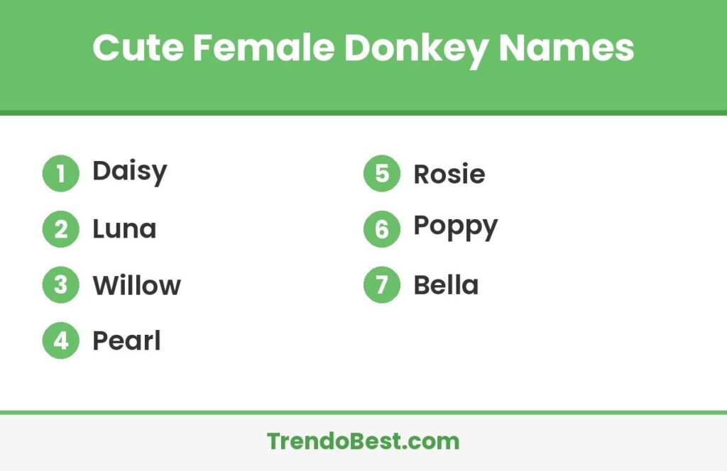 Cute female donkey names list card showing Daisy, Luna, Willow, Pearl, Rosie, Poppy and Bella with TrendoBest branding