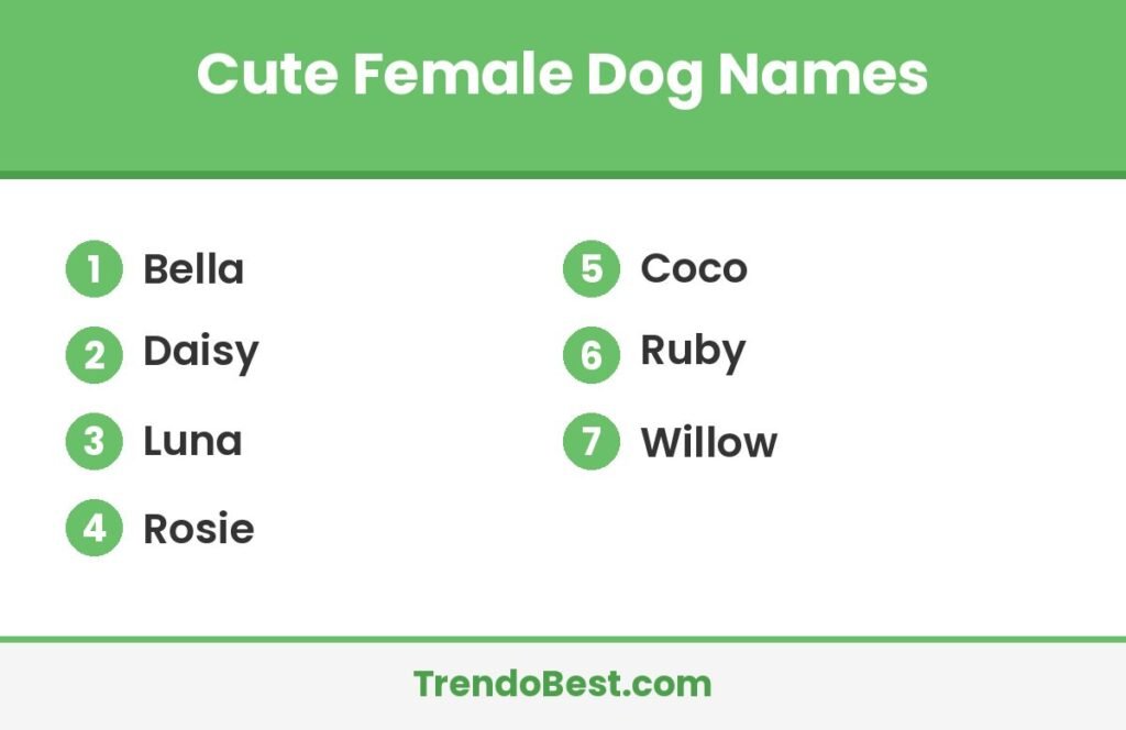 Cute female dog names list card showing Bella, Daisy, Luna, Rosie, Coco, Ruby and Willow with TrendoBest branding