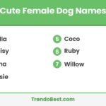 Cute female dog names list card showing Bella, Daisy, Luna, Rosie, Coco, Ruby and Willow with TrendoBest branding