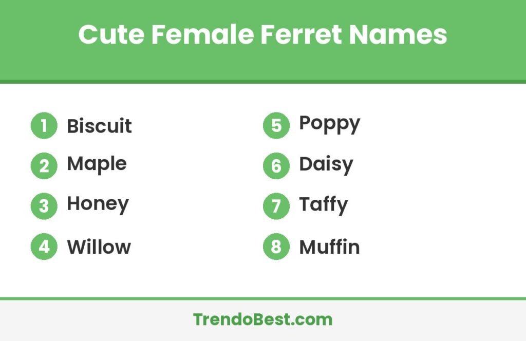 Cute female ferret names list card with TrendoBest branding