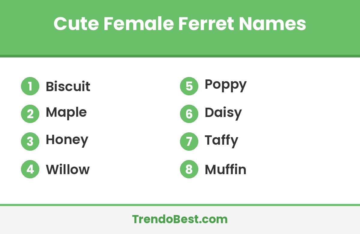 Cute female ferret names list card with TrendoBest branding