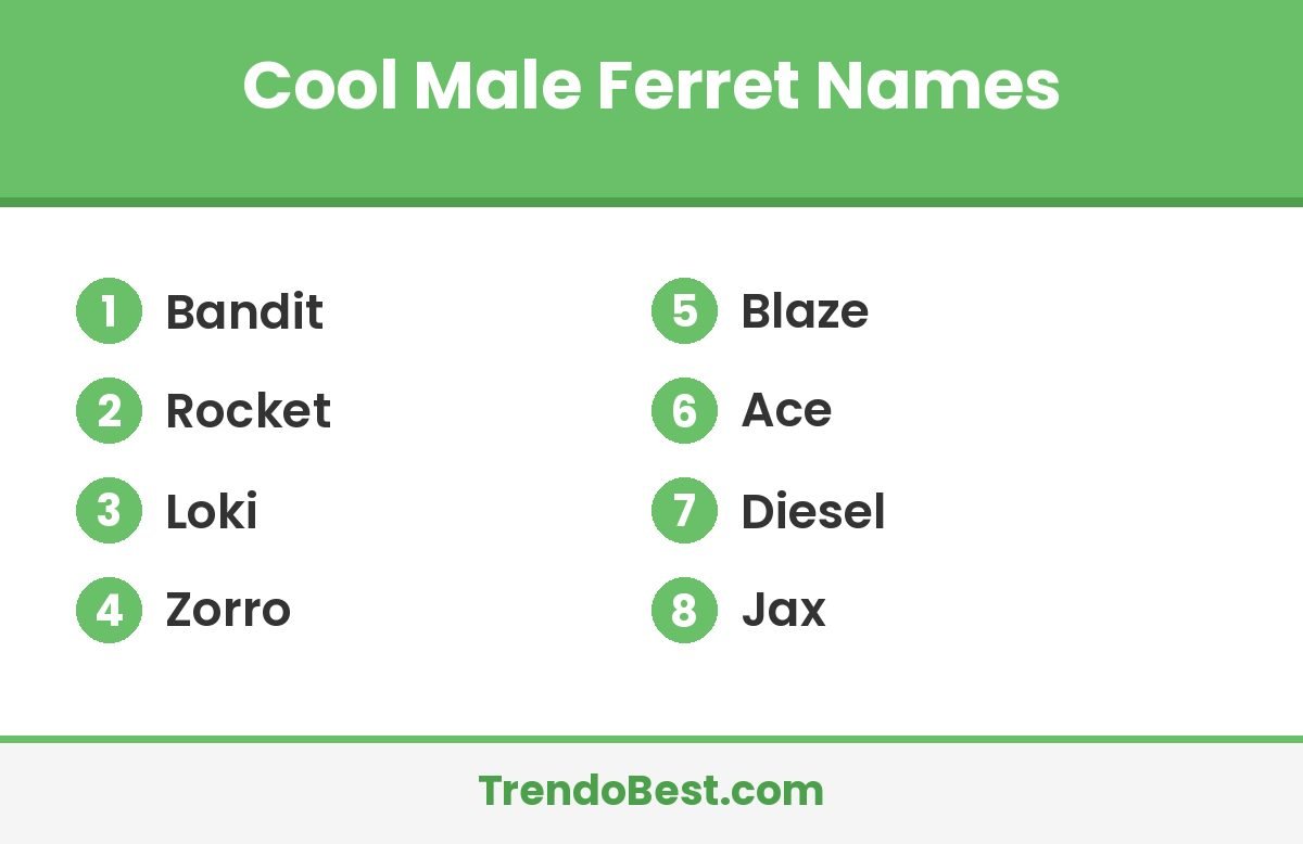 Cool male ferret names list card with TrendoBest branding