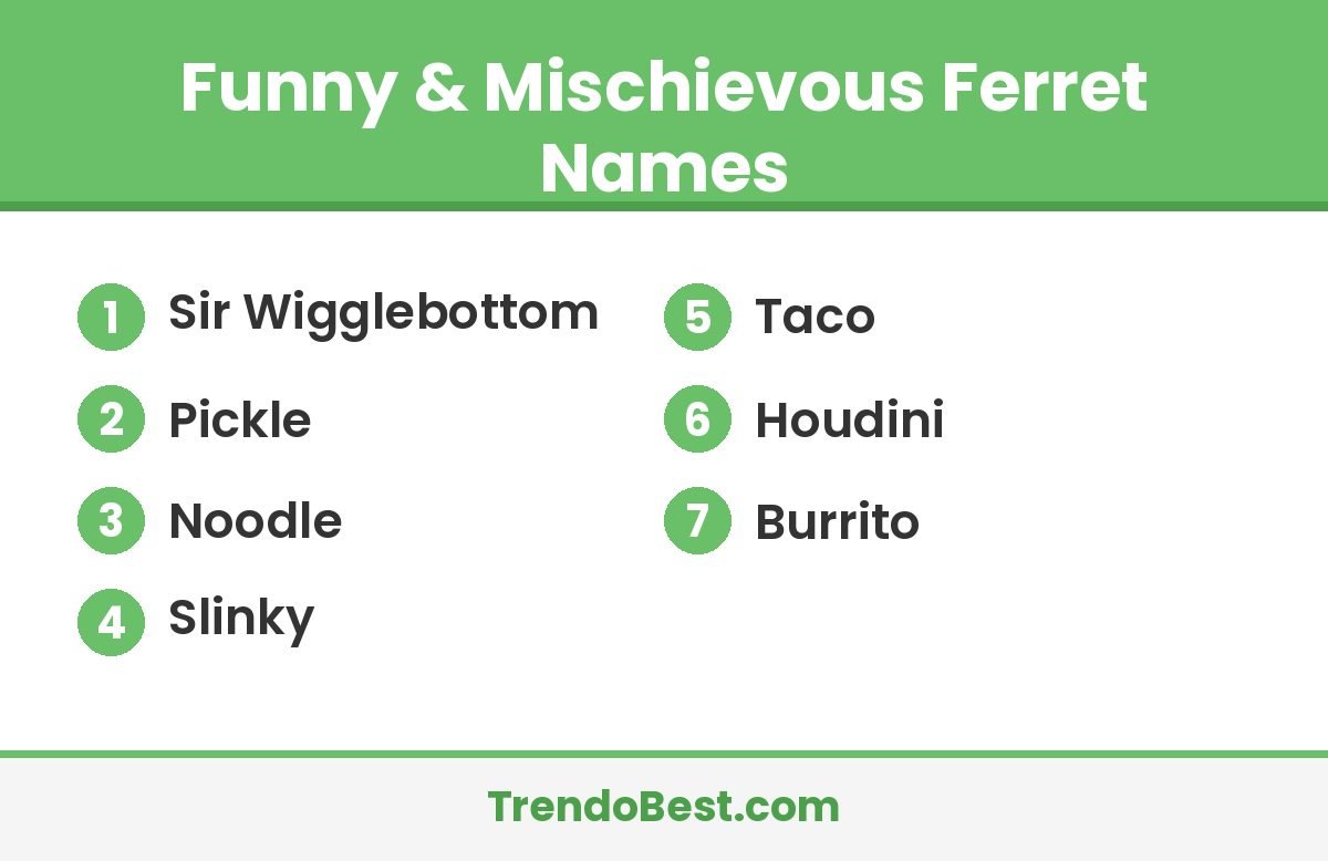 Funny and mischievous ferret names list card with TrendoBest branding