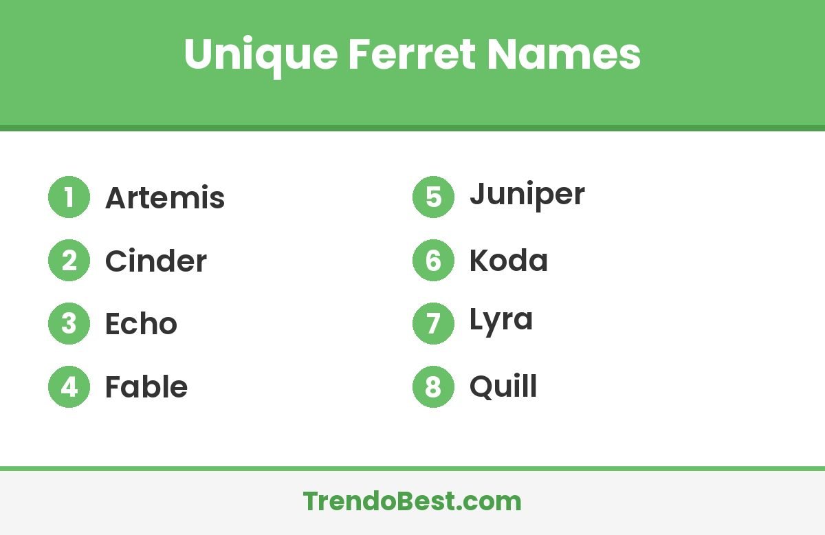Unique ferret names list card with TrendoBest branding