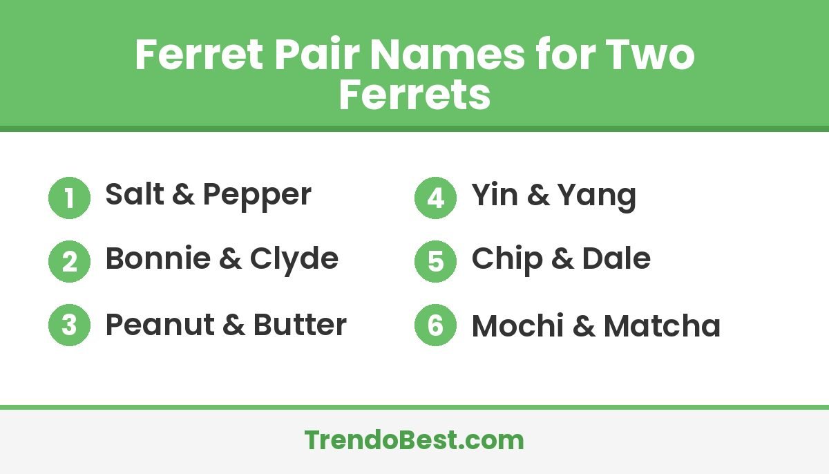 Ferret pair names for two ferrets list card with TrendoBest branding