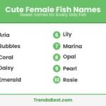 Cute female fish names: Aria, Bubbles, Coral, Daisy, Emerald, Lily, Marina, Opal, Pearl, Rosie