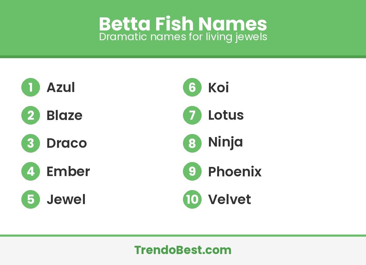 Betta fish names: Azul, Blaze, Draco, Ember, Jewel, Koi, Lotus, Ninja, Phoenix, Velvet