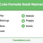 Cute female goat names list card showing Daisy, Buttercup, Willow, Clover, Maisie, Poppy and Rosie with TrendoBest branding
