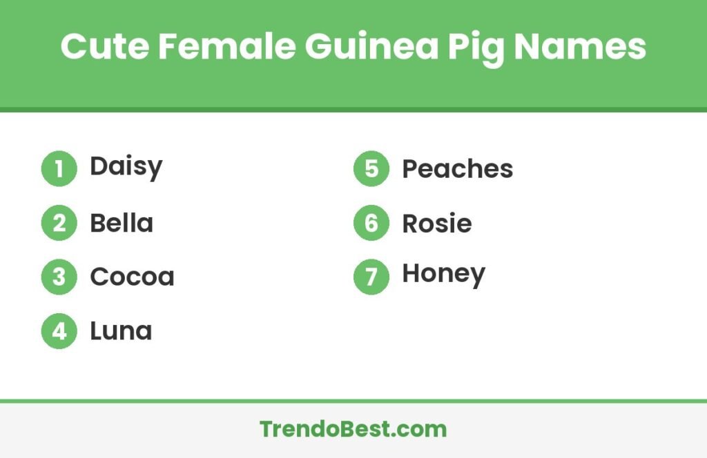 Cute female guinea pig names list card with TrendoBest branding