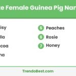 Cute female guinea pig names list card with TrendoBest branding