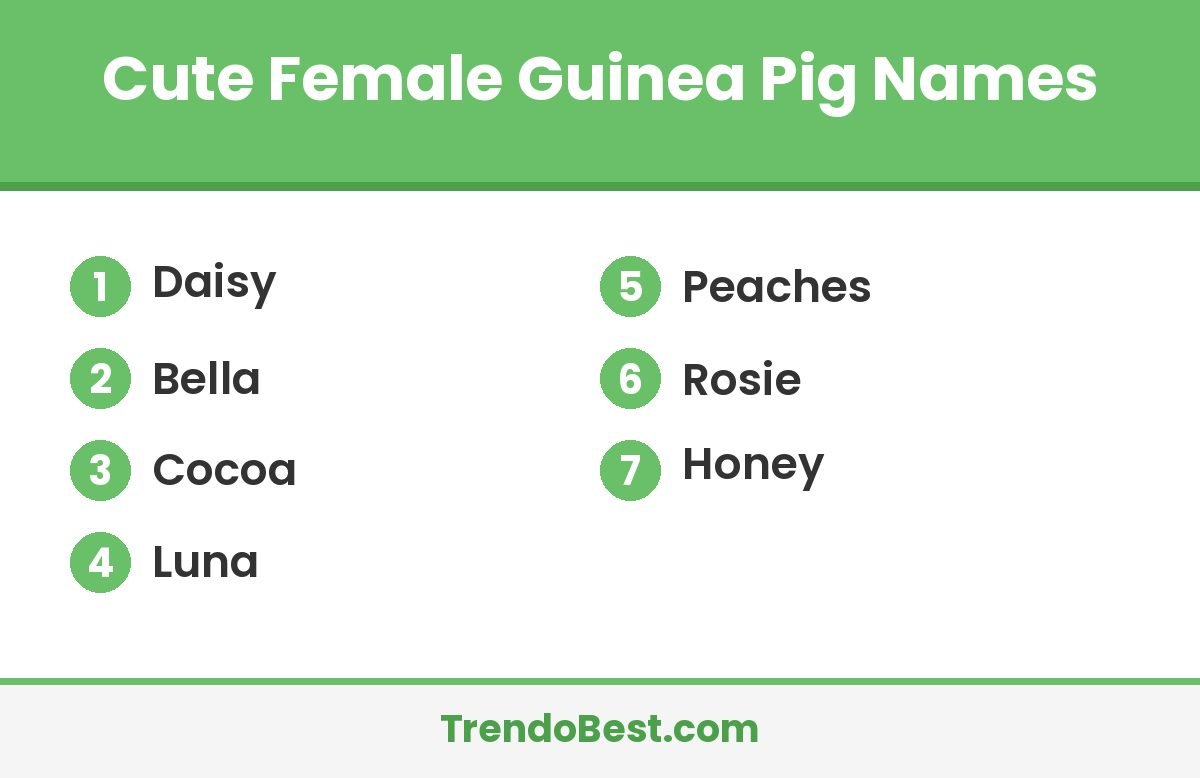 Cute female guinea pig names list card with TrendoBest branding