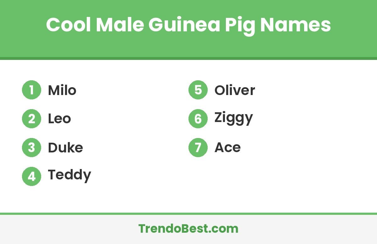 Cool male guinea pig names list card with TrendoBest branding