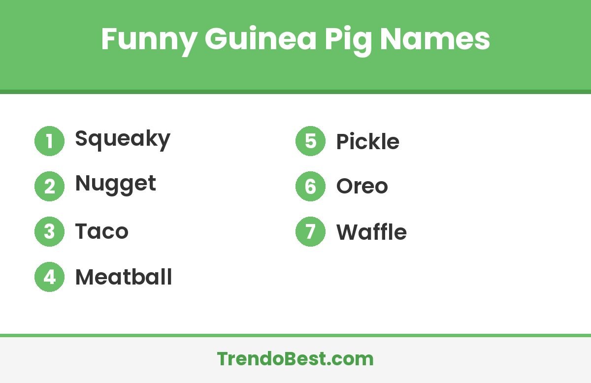 Funny guinea pig names list card with TrendoBest branding