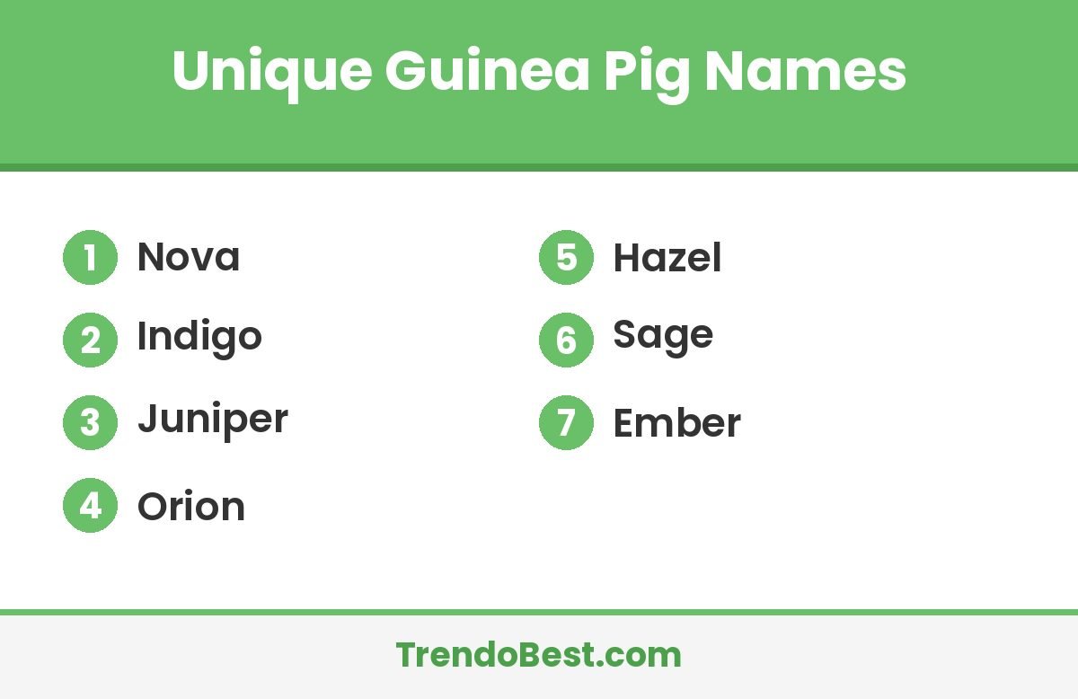 Unique guinea pig names list card with TrendoBest branding