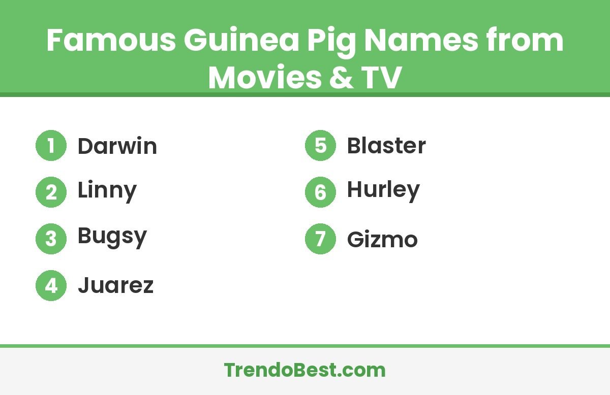 Famous guinea pig names from movies and TV card with TrendoBest branding