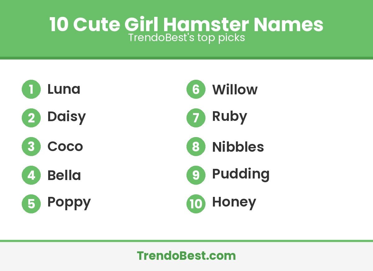 Cute girl hamster names list: Luna, Daisy, Coco, Bella, Poppy, Willow, Ruby, Nibbles, Pudding, Honey