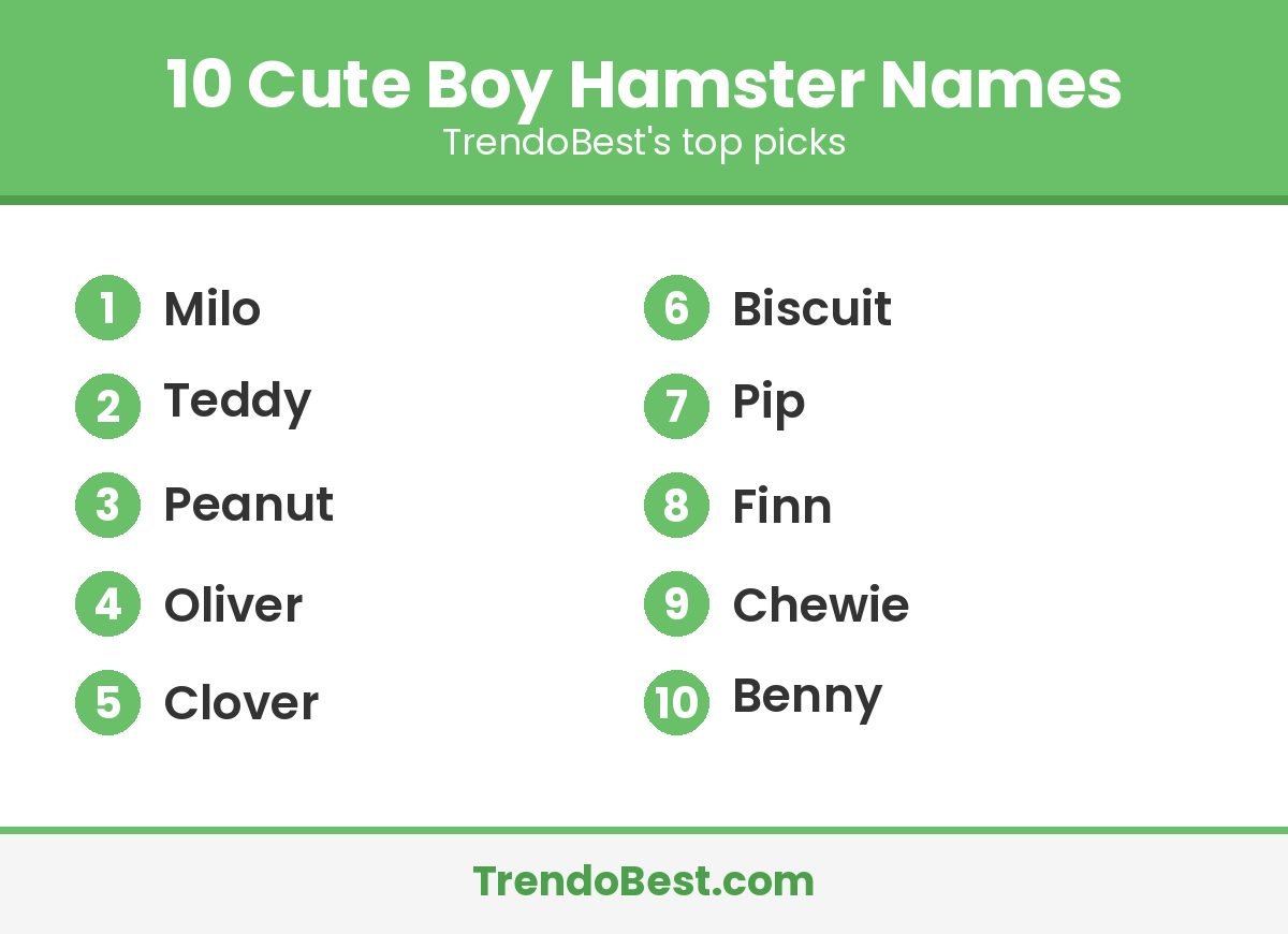 Cute boy hamster names list: Milo, Teddy, Peanut, Oliver, Clover, Biscuit, Pip, Finn, Chewie, Benny