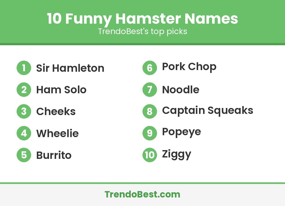 Funny hamster names list: Sir Hamleton, Ham Solo, Cheeks, Wheelie, Burrito, Pork Chop, Noodle, Captain Squeaks, Popeye, Ziggy