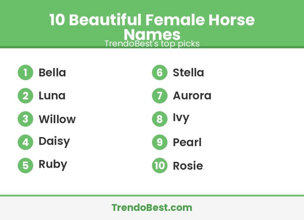 10 beautiful female horse names list graphic