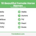 10 beautiful female horse names list graphic
