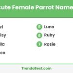 Cute female parrot names list card showing Kiwi, Daisy, Bella, Coco, Luna, Ruby and Rosie with TrendoBest branding