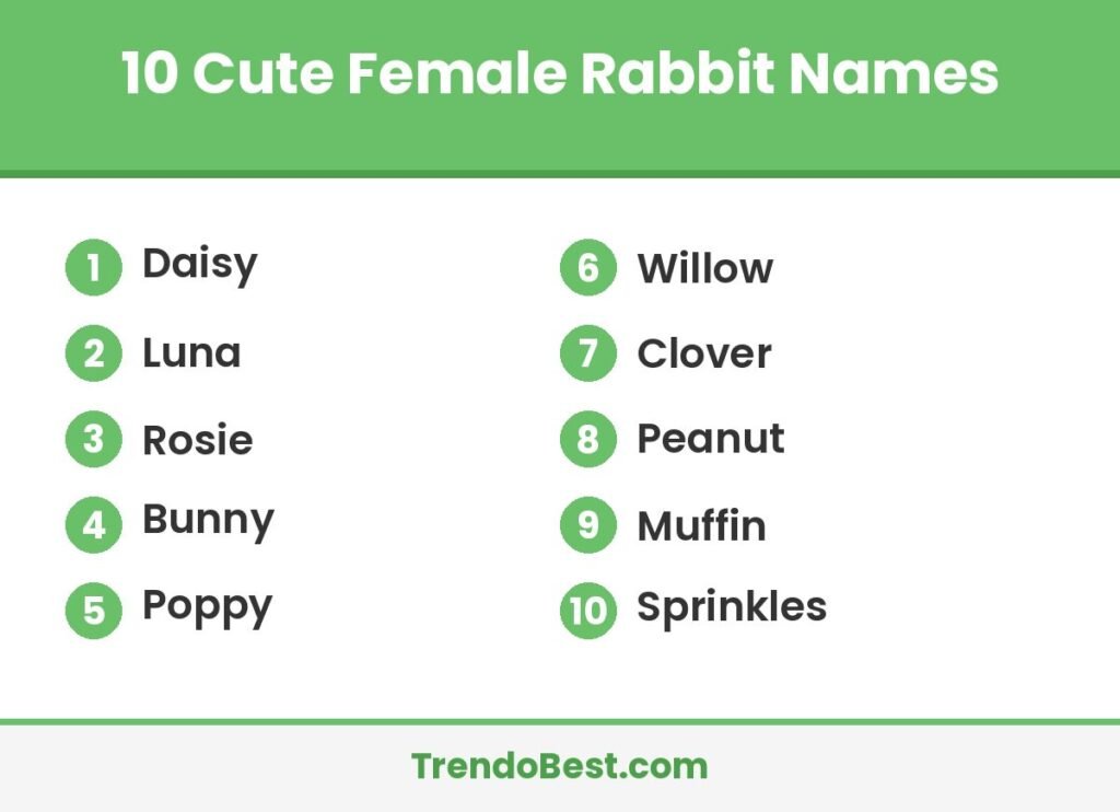 10 cute female rabbit names list graphic by TrendoBest: Daisy, Luna, Rosie and more