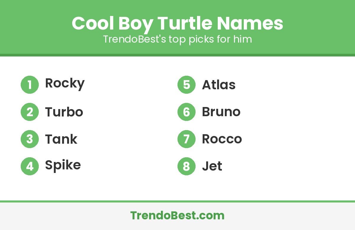 Cool boy turtle names list: Rocky, Turbo, Tank, Spike, Atlas, Bruno, Rocco, Jet