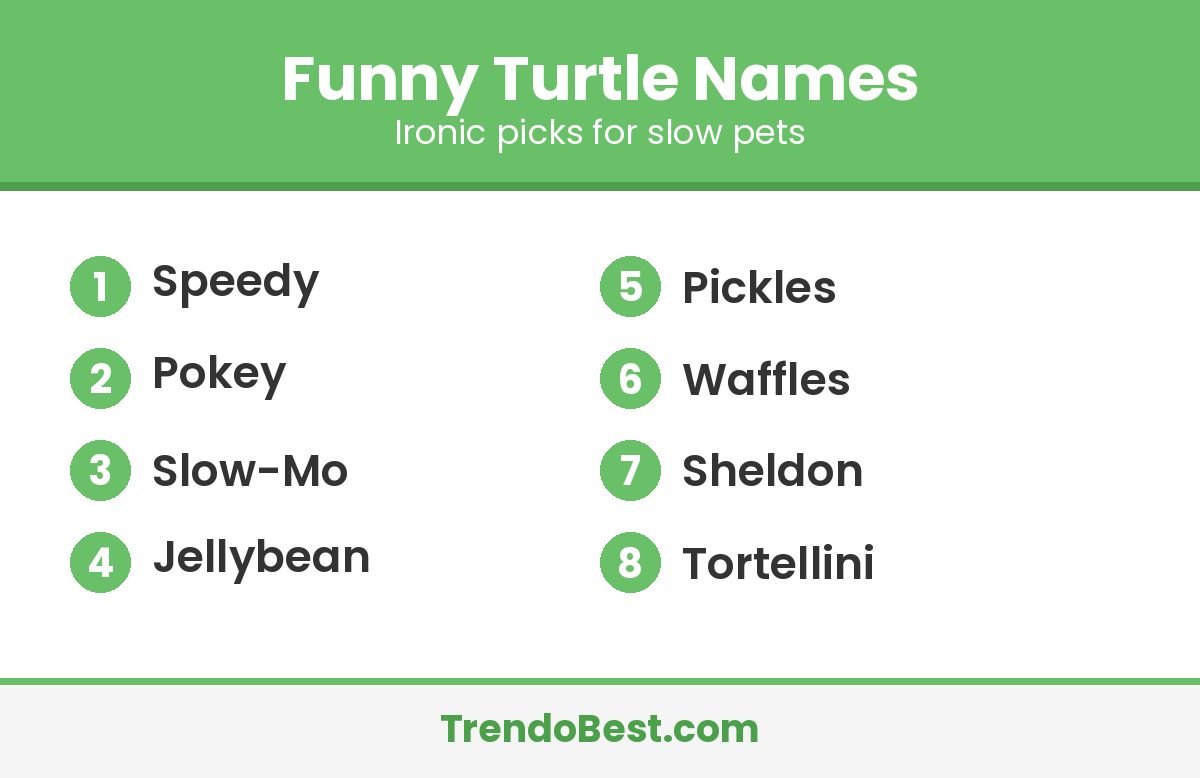Funny turtle names list: Speedy, Pokey, Slow-Mo, Jellybean, Pickles, Waffles, Sheldon, Tortellini