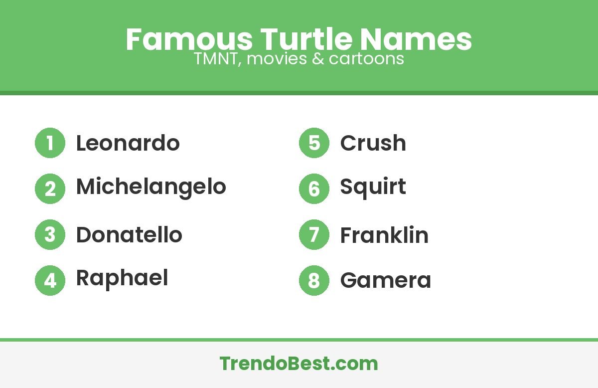 Famous turtle names list: Leonardo, Michelangelo, Donatello, Raphael, Crush, Squirt, Franklin, Gamera