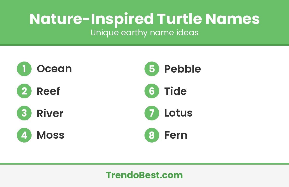 Nature-inspired turtle names list: Ocean, Reef, River, Moss, Pebble, Tide, Lotus, Fern